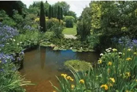 Expert Pond Care for Healthy and Beautiful Water Features in Sussex